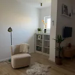 Lavanda *