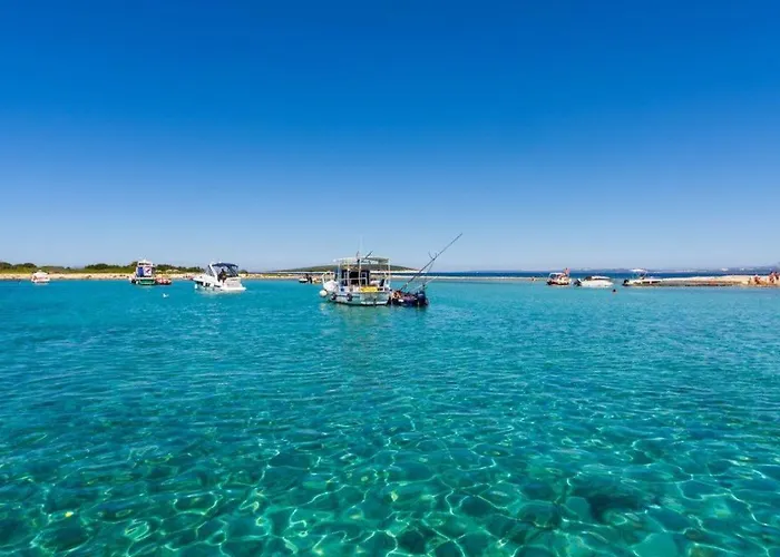 Lavanda * Мандре